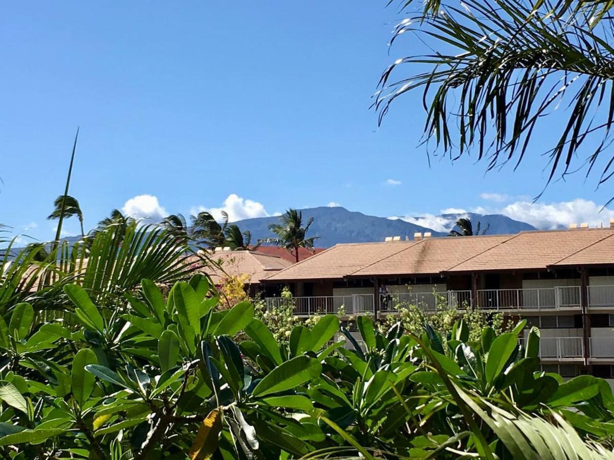 شقة Perfect For Families And Couples - Maui Sunset A-203 كيهي المظهر الخارجي الصورة